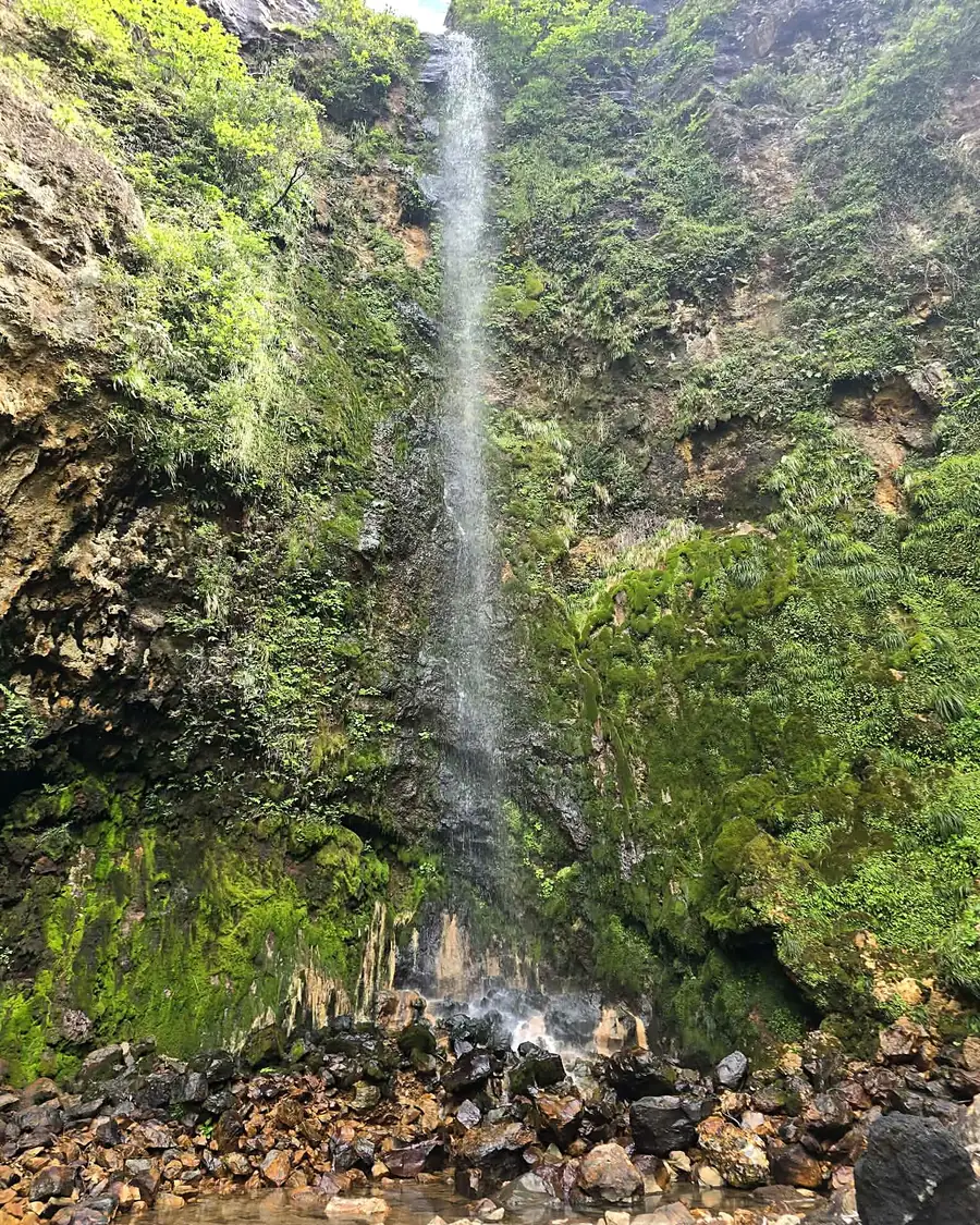 Une cascade tombant le long d'une paroi rocheuse couverte de mousse, à Hachijō-jima